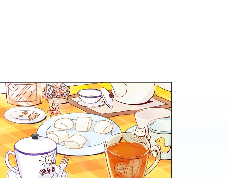 第1话  猫主子驾到！4