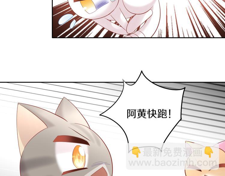 第144话 空陆大战42