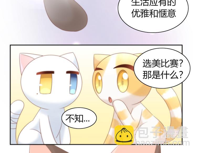 第76话 猫咪选美大赛33