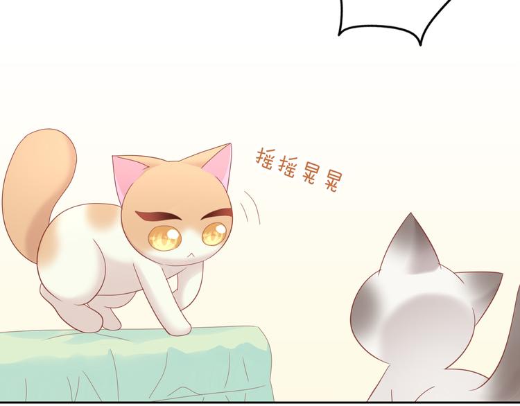 第136话 撸猫技师（四）79