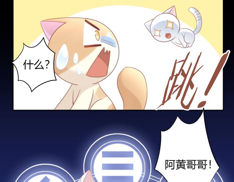 第77话 燃烧你的卡路里43