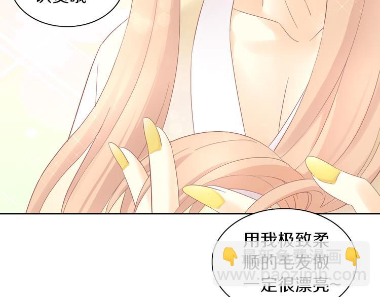 第195话  宠物毛毡50