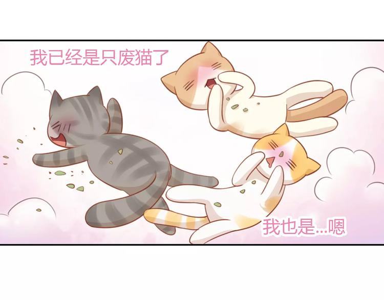 第12话  纸箱争夺战58
