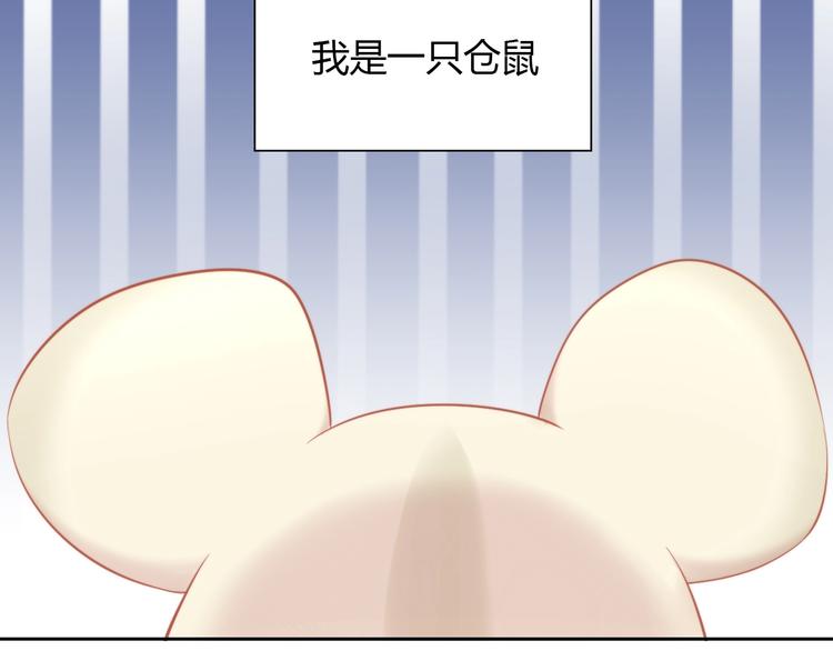 第108话 仓鼠也有梦想！7