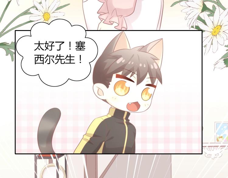 第130话 猫舍C位（六）8