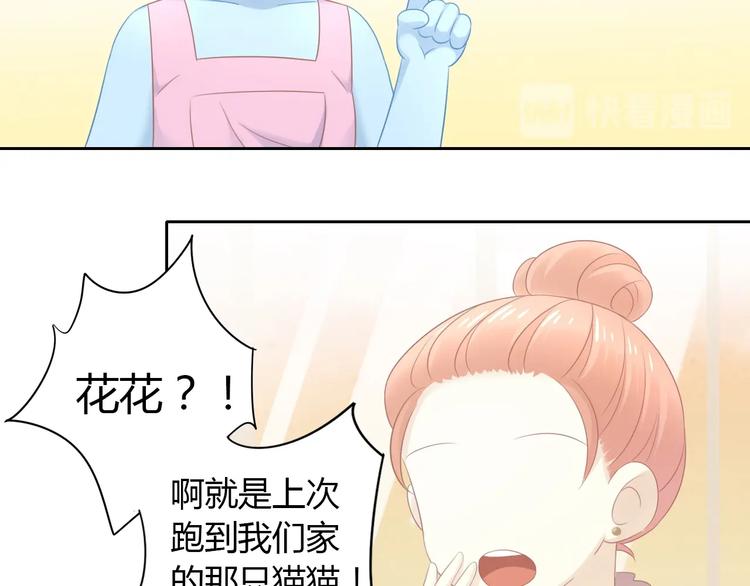 第129话 猫舍C位（五）24