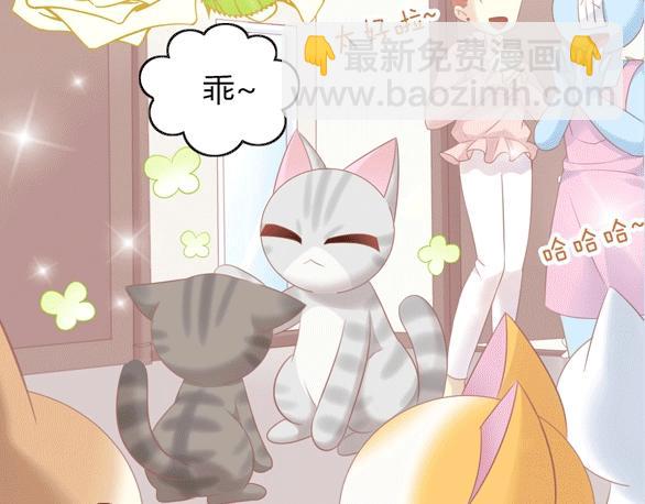 第129话 猫舍C位（五）94