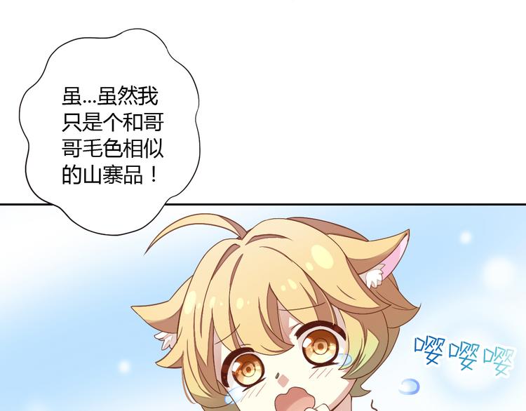 第1话  猫主子驾到！18