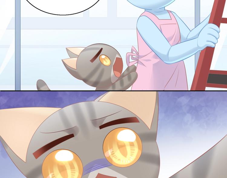 第130话 猫舍C位（六）39
