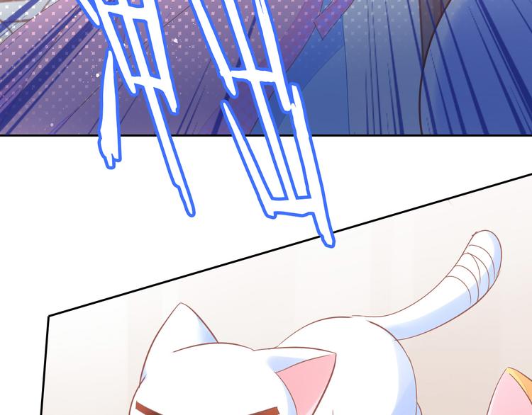第166话 猫咪花园90