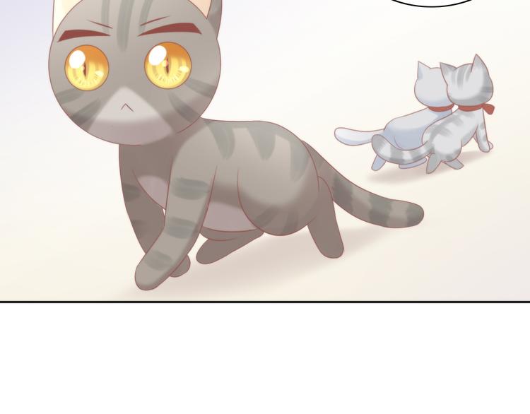 第79话 一只猫的战争49