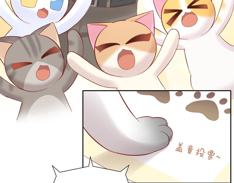 第134话  撸猫技师（二）68