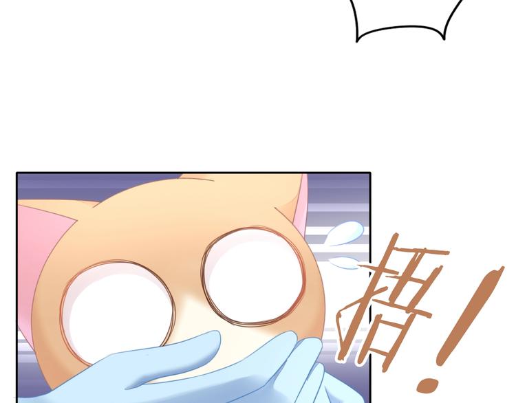 第127话 猫舍C位（三）31