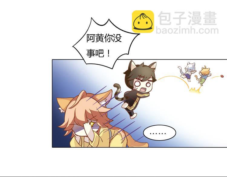 第1话  猫主子驾到！13
