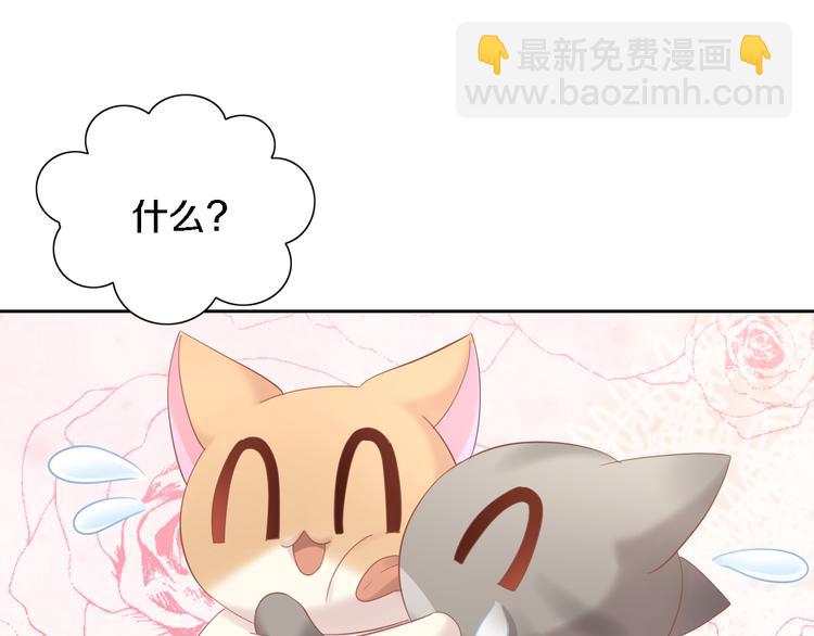 第147话 走花路吧！皮卡！26
