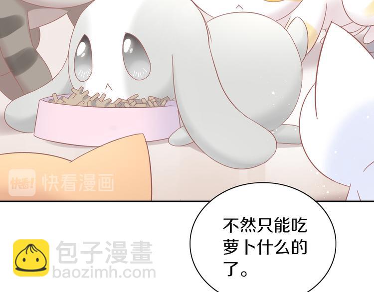 第189话 杂物堆里的它70