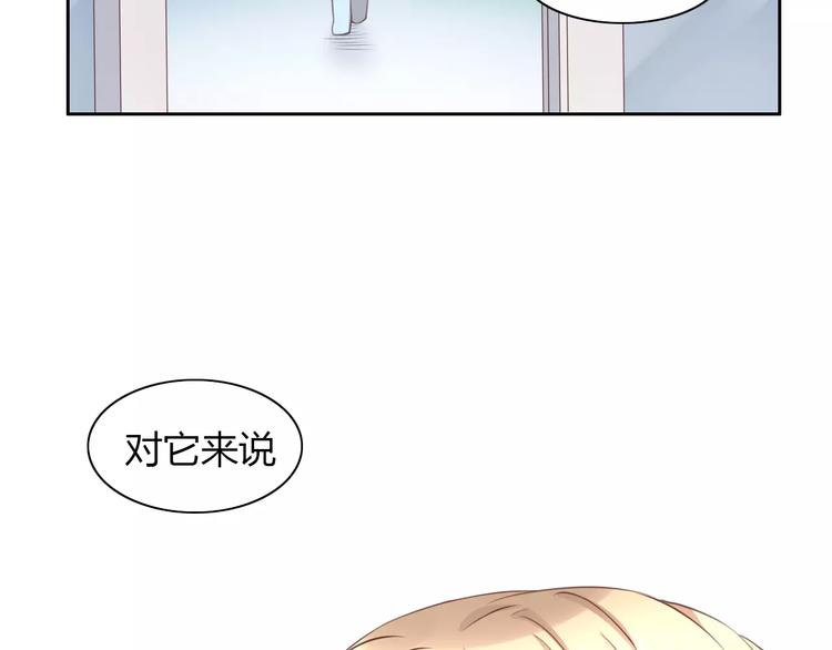 第31话 再见啦疾风54