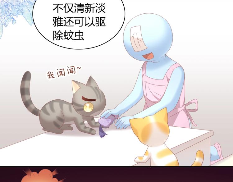 第101话 端午节礼物18