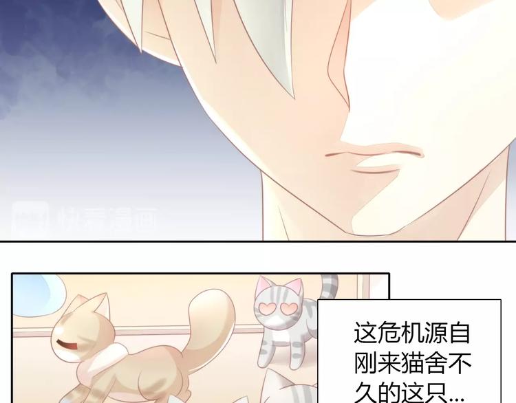 第125话 猫舍C位（一）11