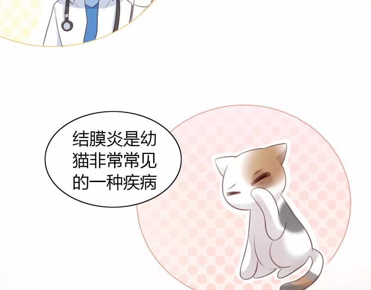 第41话 小可怜竟然是？39