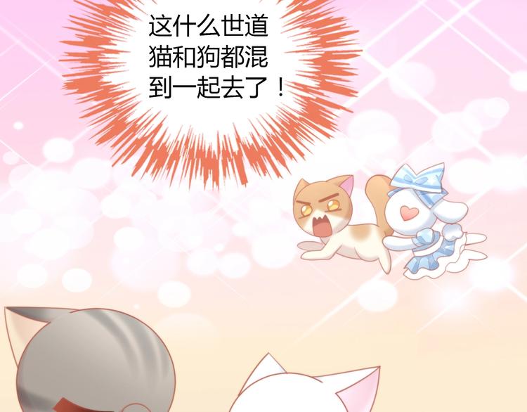 第107话  仓鼠式晕厥46
