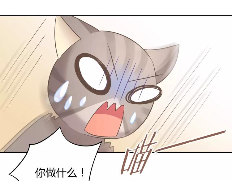 第25话 反差萌48
