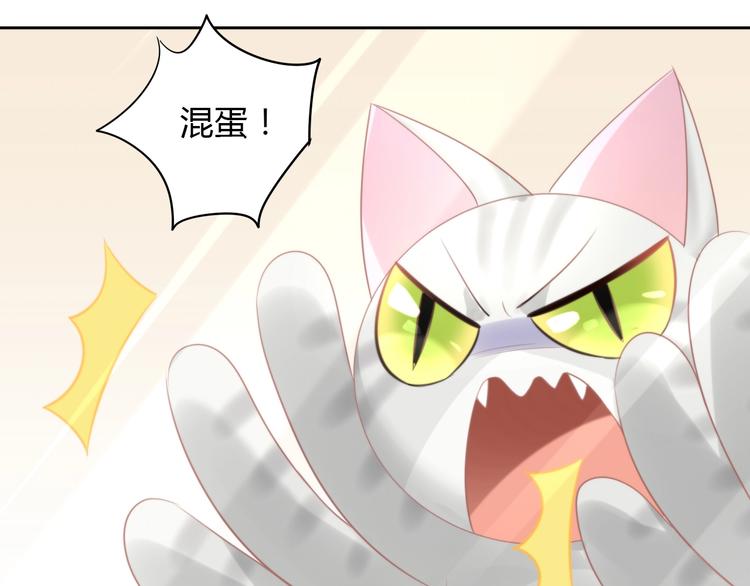 第125话 猫舍C位（一）52