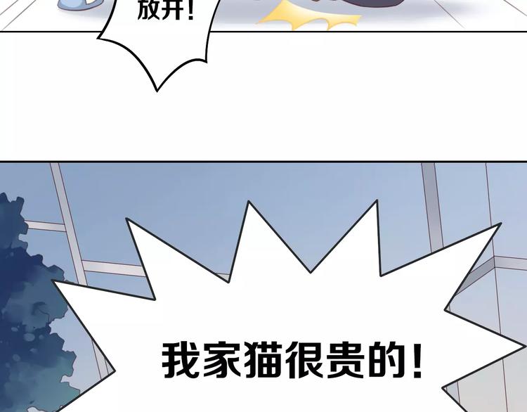 第31话 再见啦疾风80