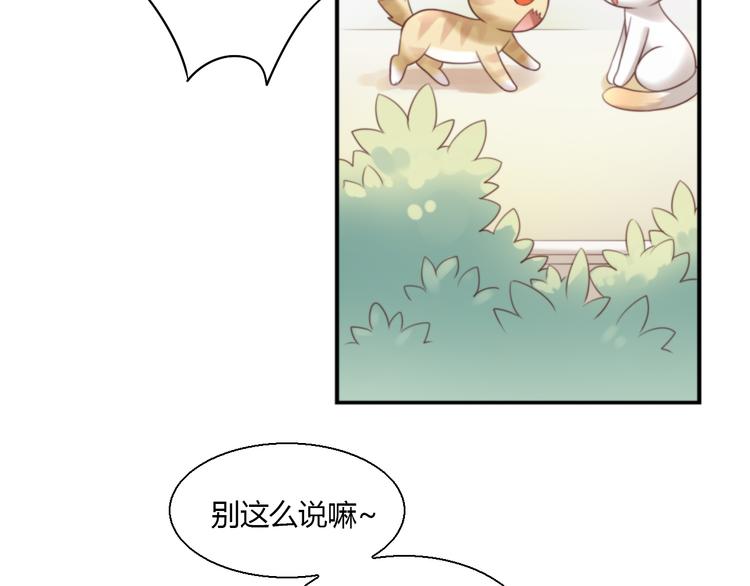 第65话 真相7