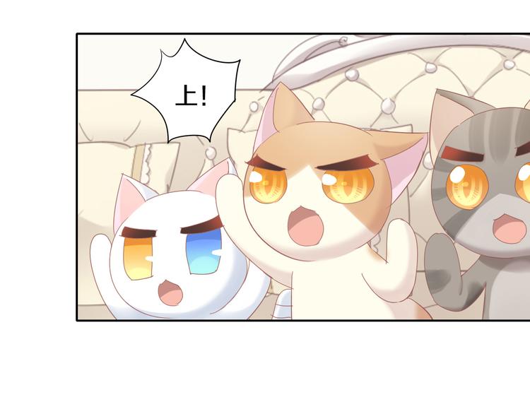 第167话 疯狂的蛋糕12