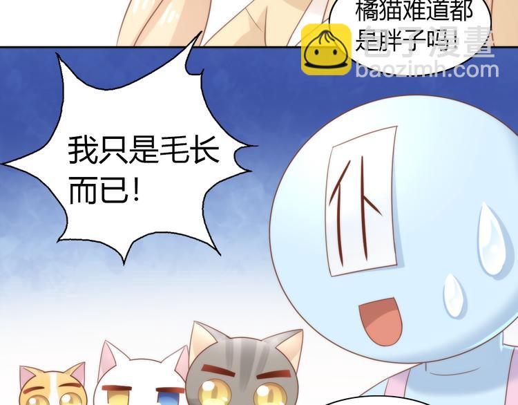 第76话 猫咪选美大赛66