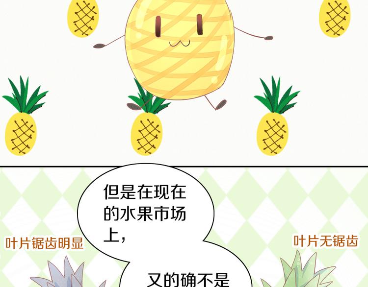 第188话 凤梨？菠萝？20