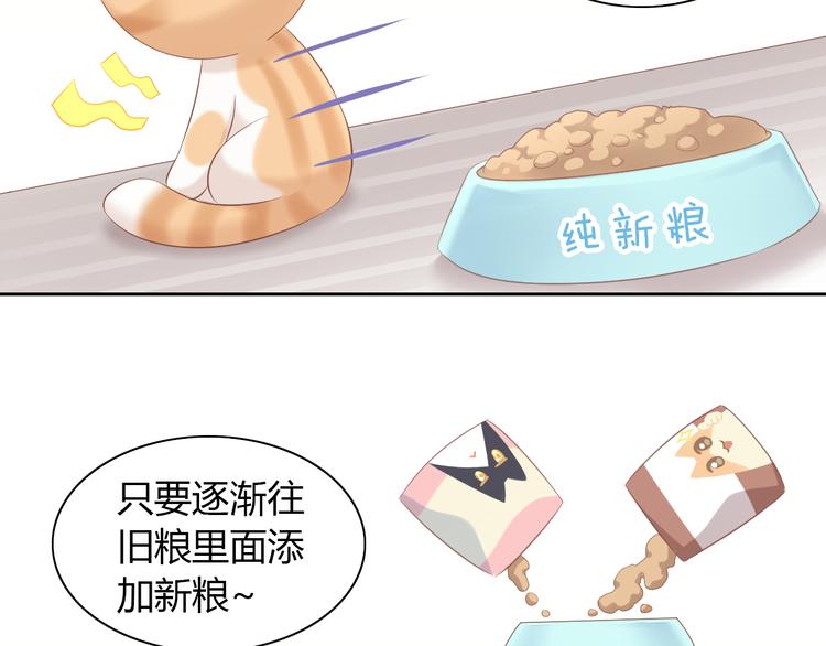 第86话 友好相处！48