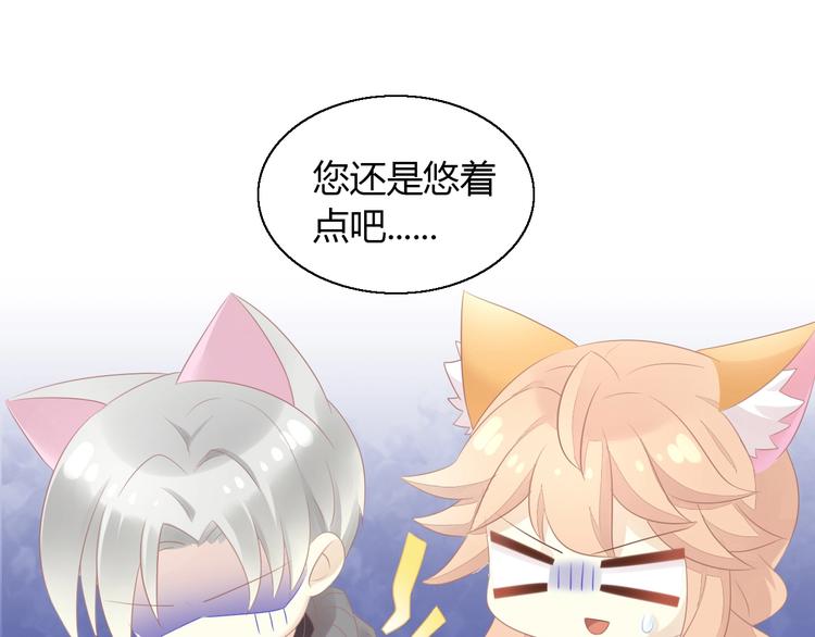 第129话 猫舍C位（五）57