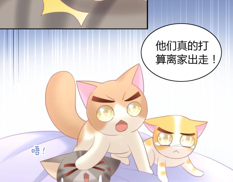 第100话 离开22