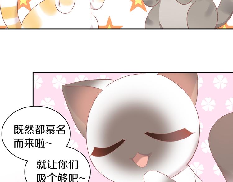 第178话 爆火视频25