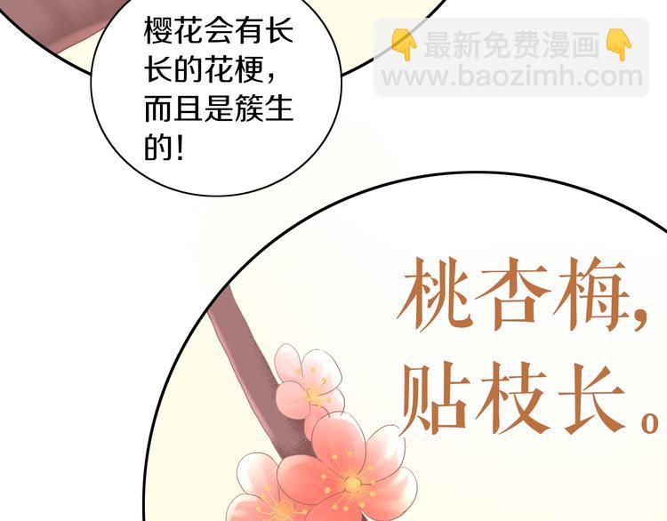 第197话 樱花攻略41