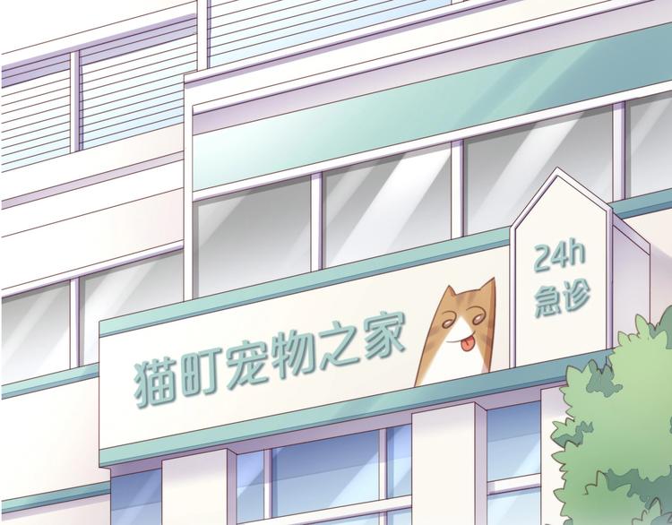 第114话 猫咪也要刷牙！24