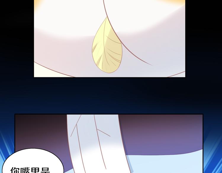 第147话 走花路吧！皮卡！42