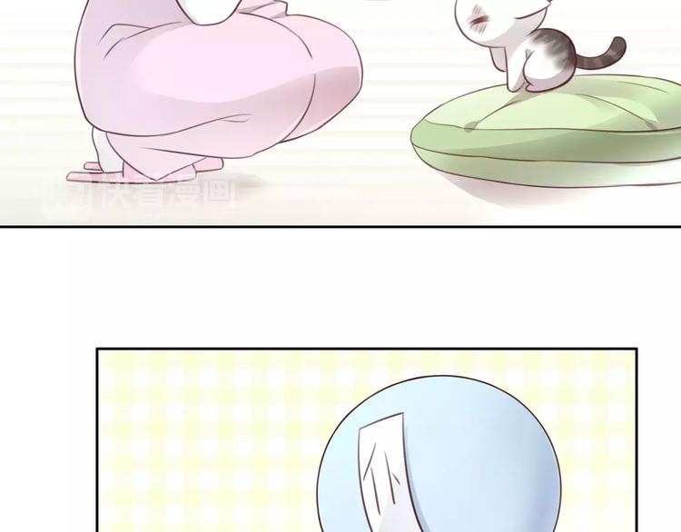 第41话 小可怜竟然是？13
