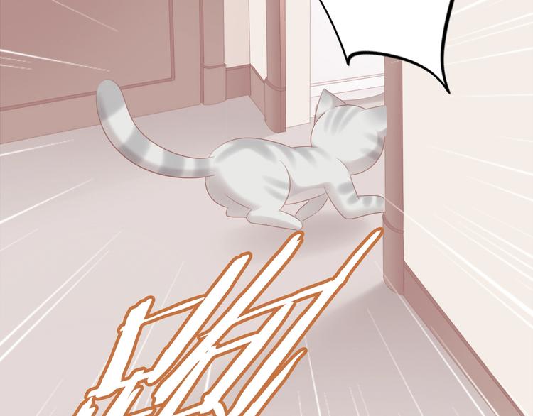 第130话 猫舍C位（六）11