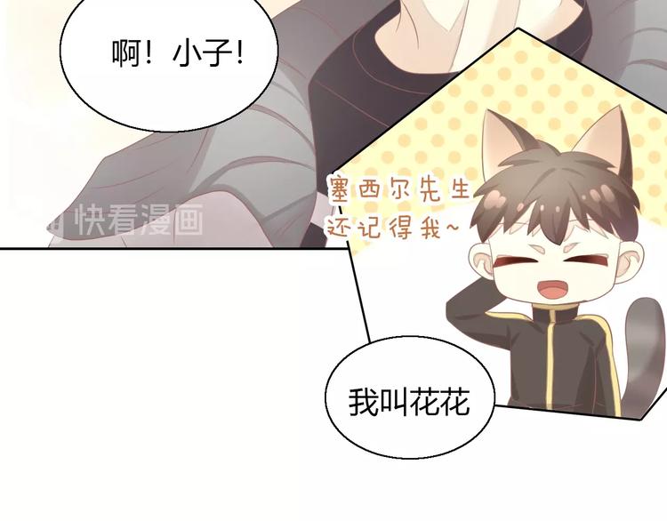 第126话 猫舍C位（二）33