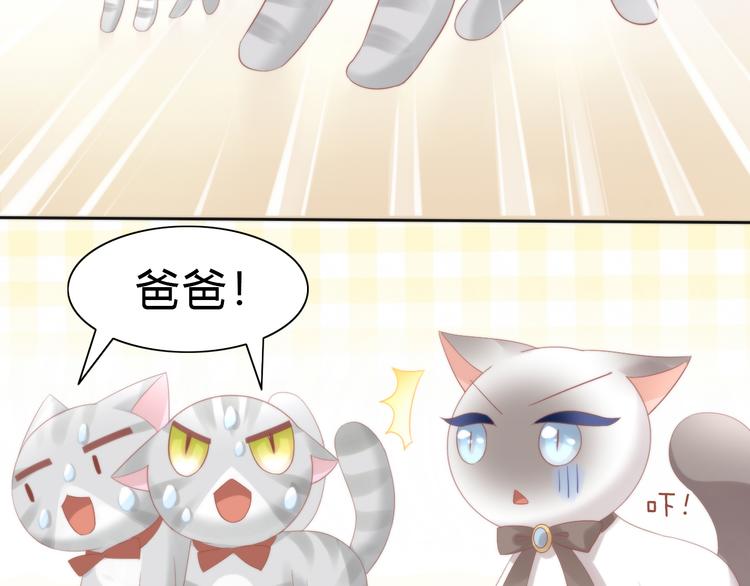 第78话 选美比赛74