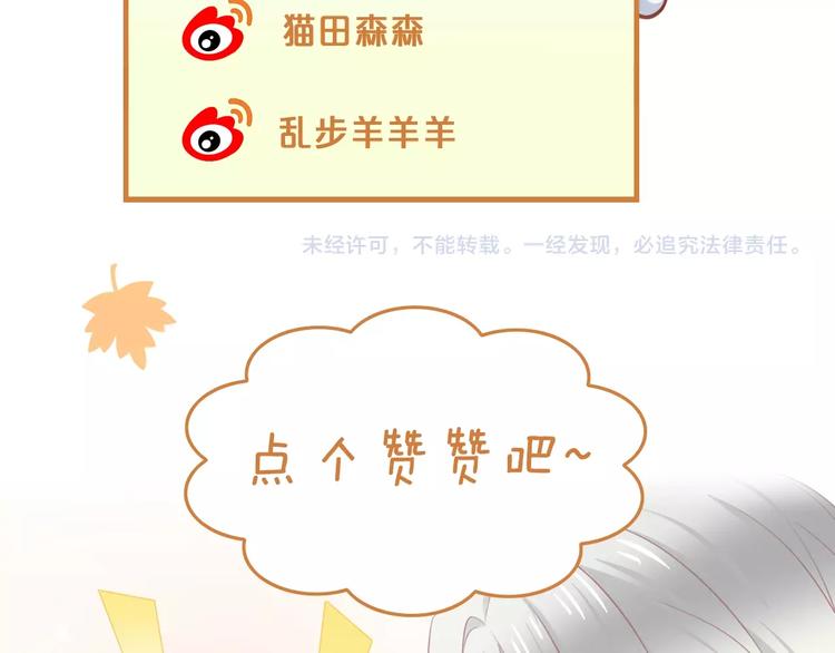 第125话 猫舍C位（一）94