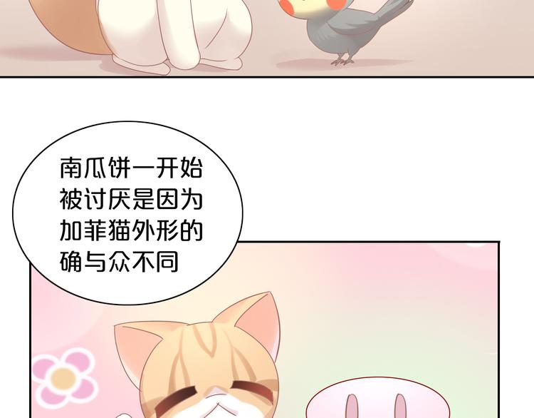 第170话 皮卡和小智76