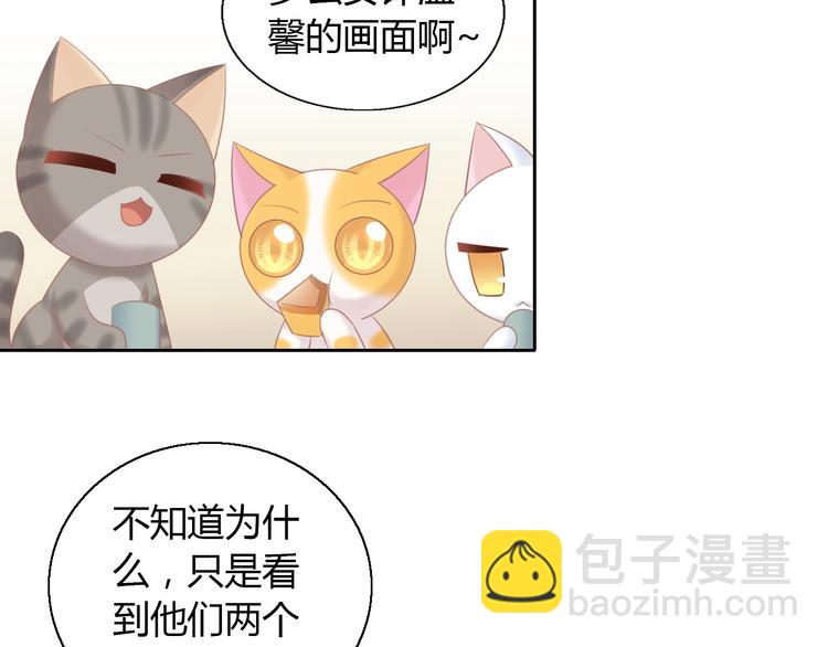 第129话 猫舍C位（五）11