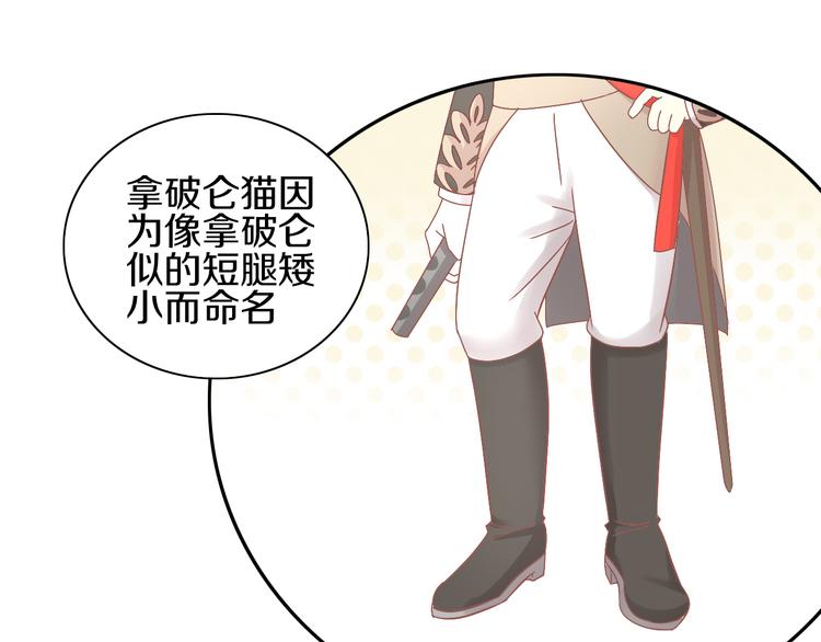 第181回  拿破仑28