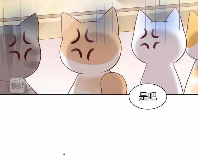 第39话 鸟妈妈的苦心22