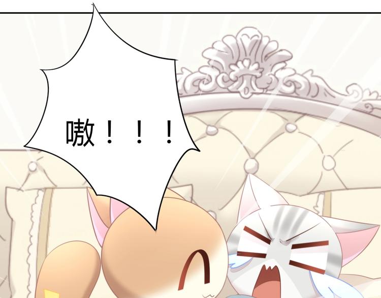 第127话 猫舍C位（三）52