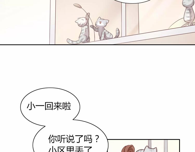 第24话 猫咪专家6